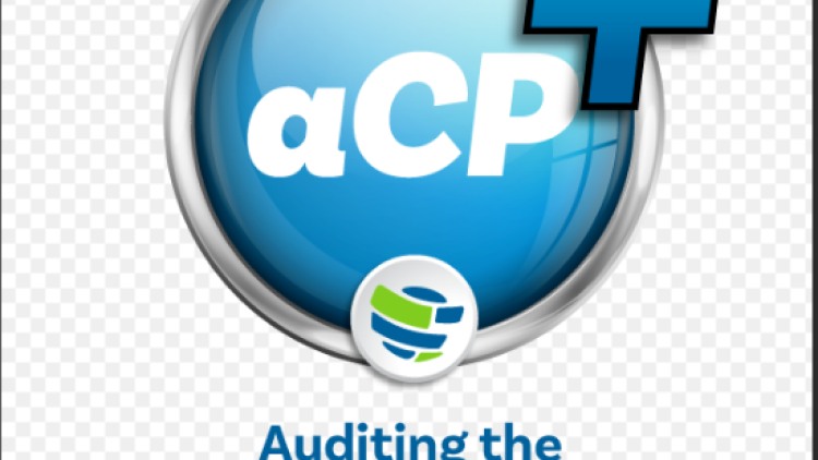 Online: Auditing the Cybersecurity Program Certificate April (IFACI)