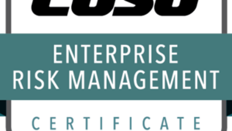 Online: COSO Enterprise Risk Management (ERM) Certificate Distant Learning Program - May 2026 (IFACI)