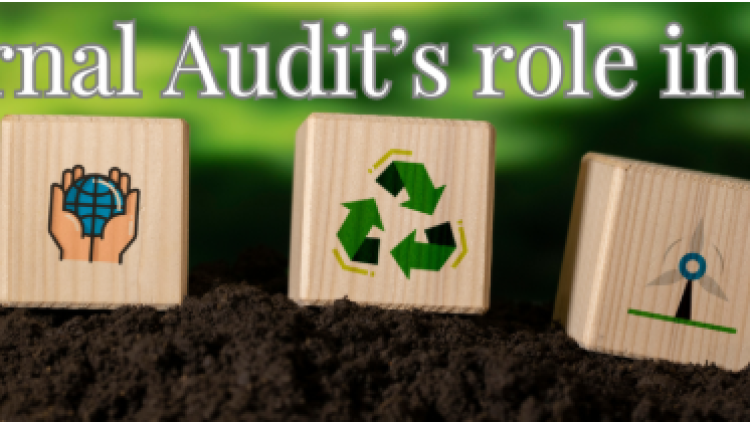 Online: The role of Internal Audit in ESG