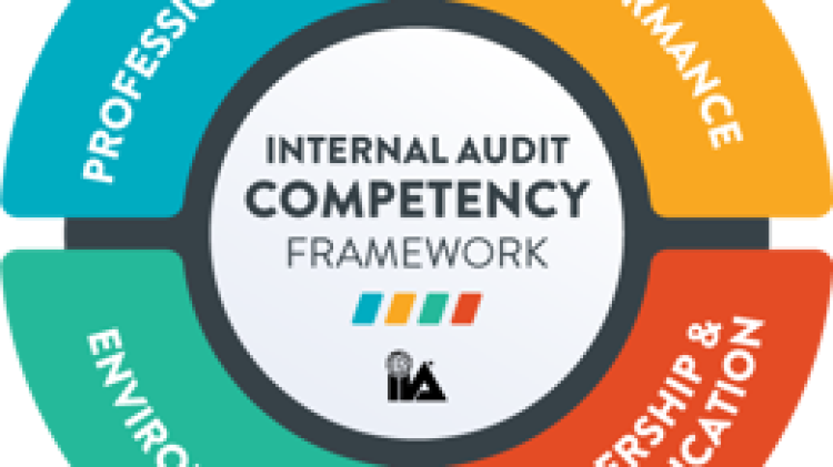 Webbinarium: The IIA Competency Framework - genomgång