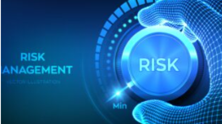 Online: ERM - guidelines for the risk function - IIA NO