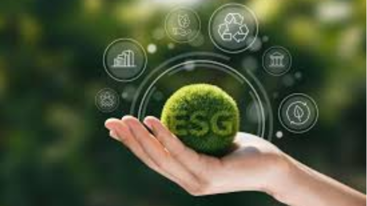 Online: ESG Certificate - Internal Auditing for Sustainable Organizations Oct. 2026 - IFACI