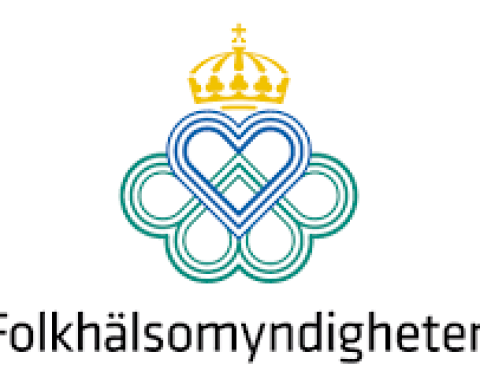 Internrevisionschef till Folkhälsomyndigheten