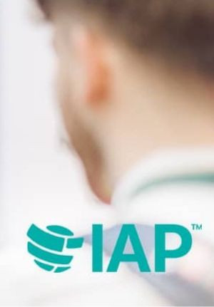 Internal Audit Practitioner