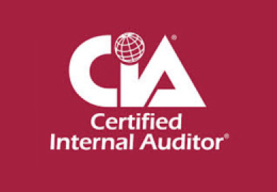 Professionell utveckling